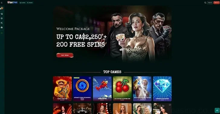 Tonyspins Casino Casino